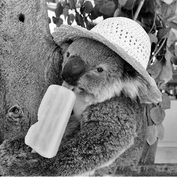 Tony\'s toy blog Icon